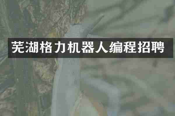 芜湖格力机器人编程招聘