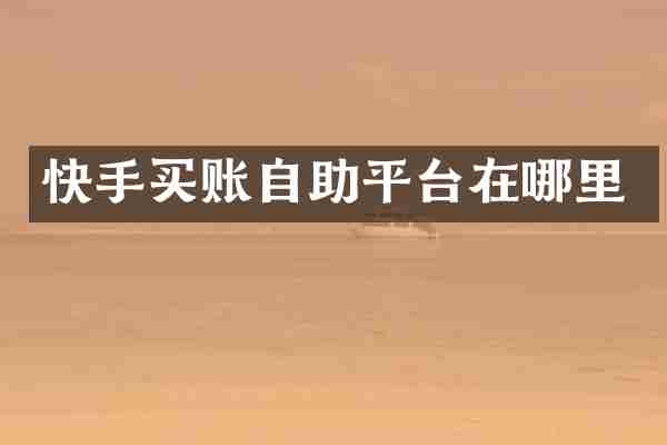 快手买账自助平台在哪里