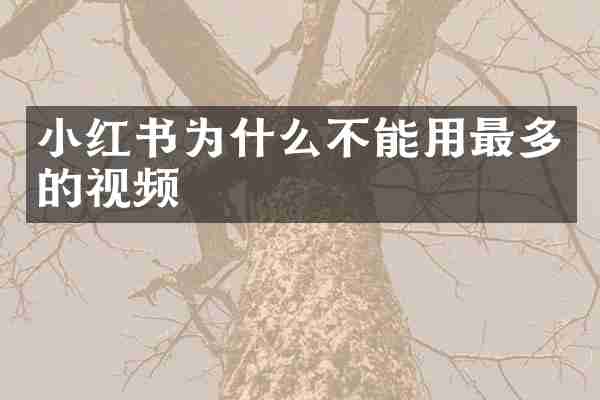 小红书为什么不能用最多的视频