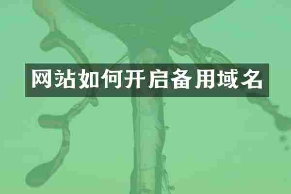 网站如何开启备用域名