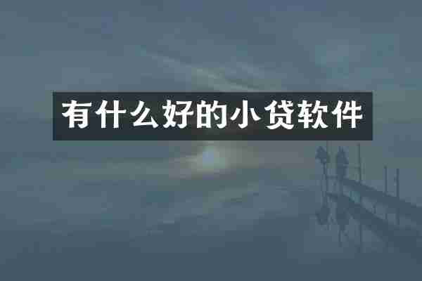 有什么好的小贷软件