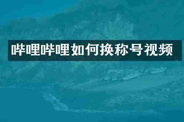 哔哩哔哩如何换称号视频