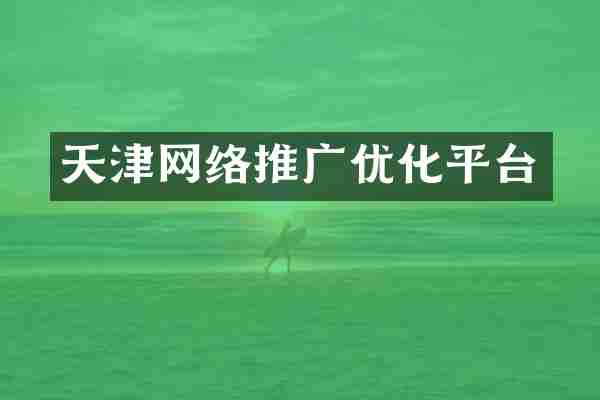 天津网络推广优化平台