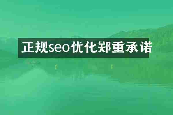 正规seo优化郑重承诺