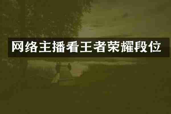 网络主播看王者荣耀段位