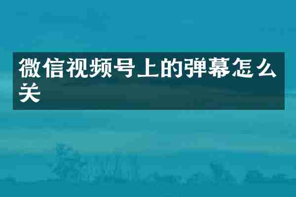 微信视频号上的弹幕怎么关