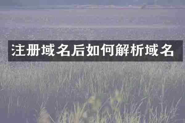 注册域名后如何解析域名