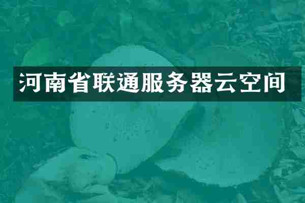河南省联通服务器云空间