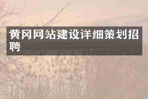 黄冈网站建设详细策划招聘