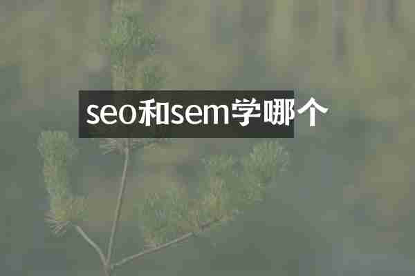 seo和sem学哪个