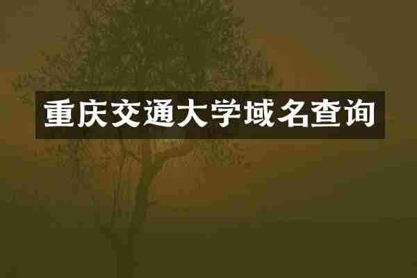 重庆交通大学域名查询