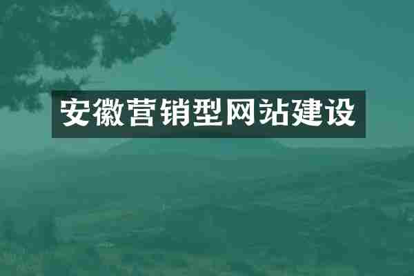 安徽营销型网站建设