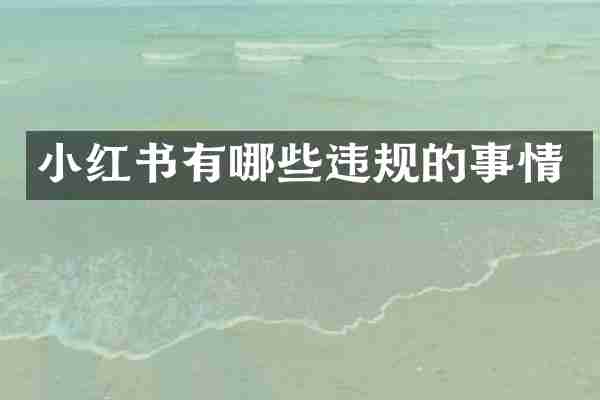 小红书有哪些违规的事情