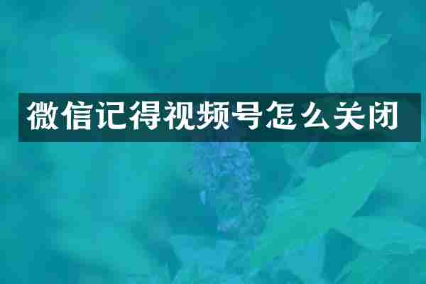 微信记得视频号怎么关闭