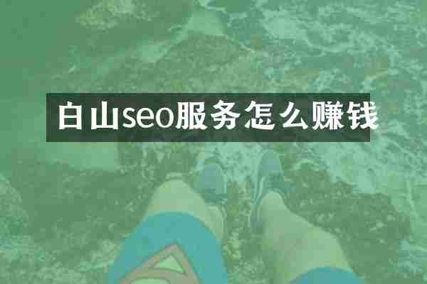 白山seo服务怎么赚钱