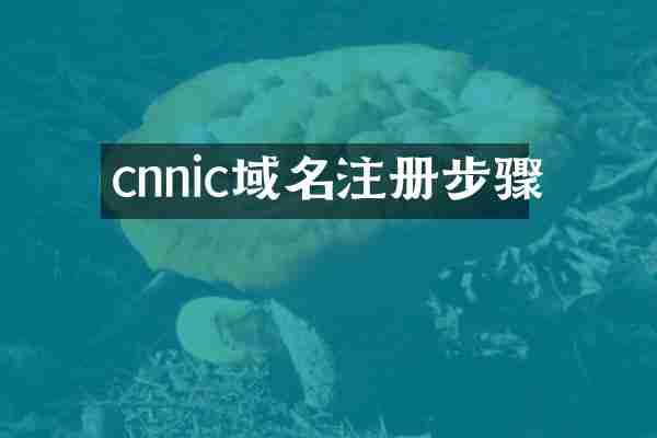 cnnic域名注册步骤