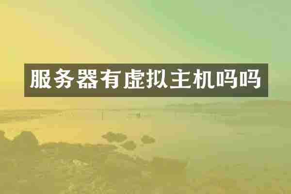 服务器有虚拟主机吗吗