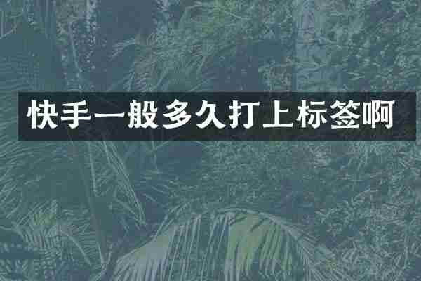 快手一般多久打上标签啊
