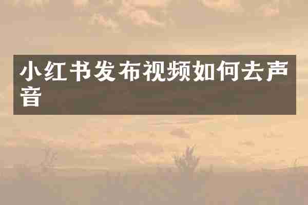 小红书发布视频如何去声音