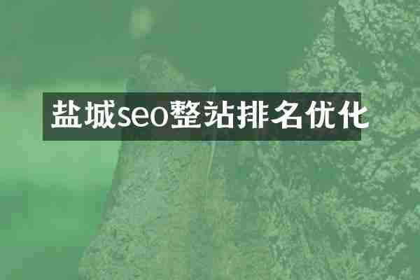 盐城seo整站排名优化