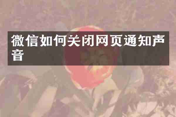 微信如何关闭网页通知声音