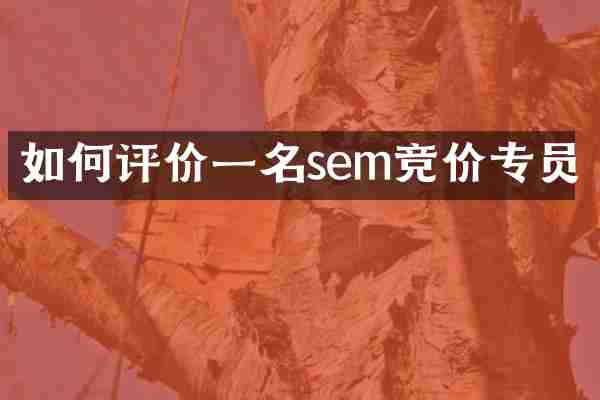 如何评价一名sem竞价专员
