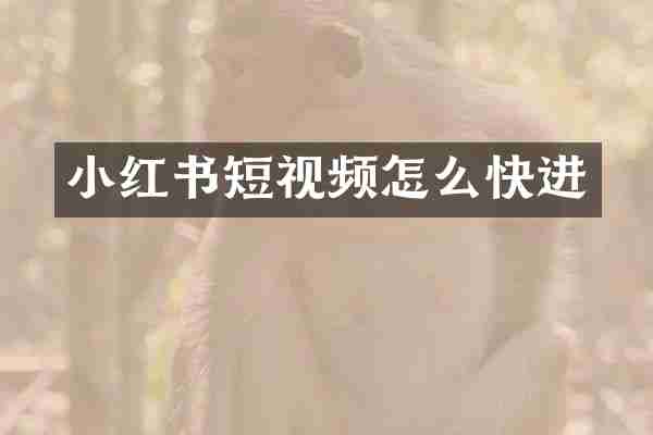 小红书短视频怎么快进