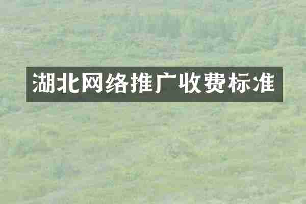 湖北网络推广收费标准