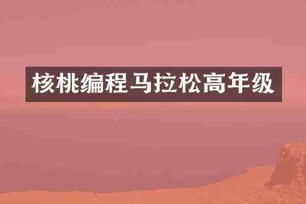 核桃编程马拉松高年级