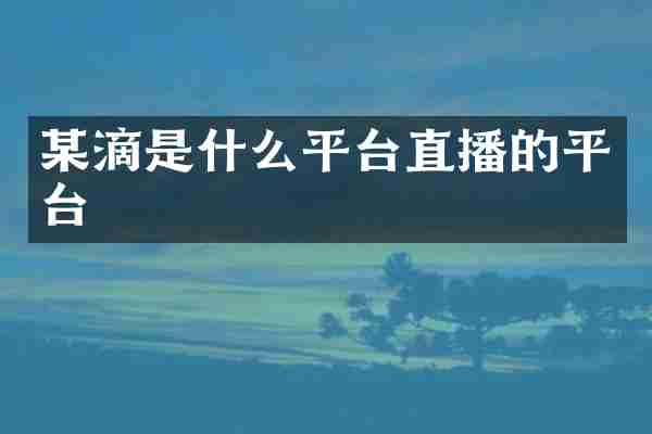 某滴是什么平台直播的平台