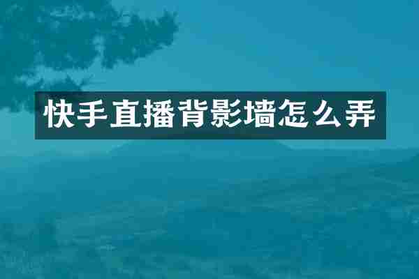 快手直播背影墙怎么弄