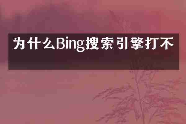 为什么Bing搜索引擎打不开