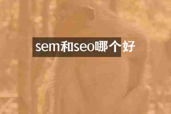 sem和seo哪个好