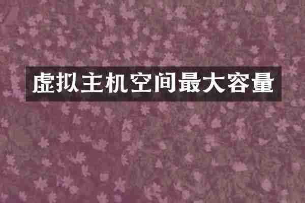 虚拟主机空间最大容量