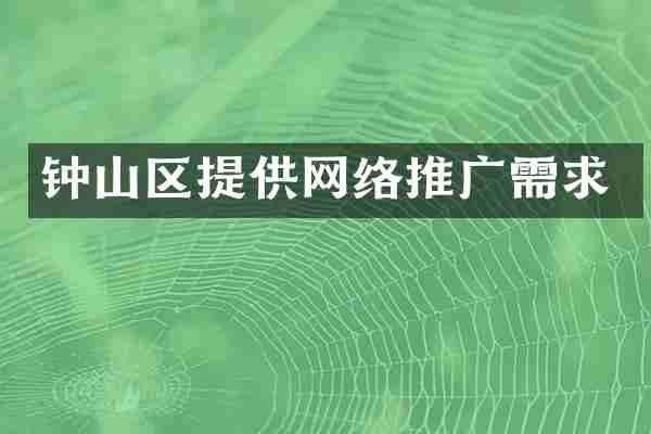 钟山区提供网络推广需求