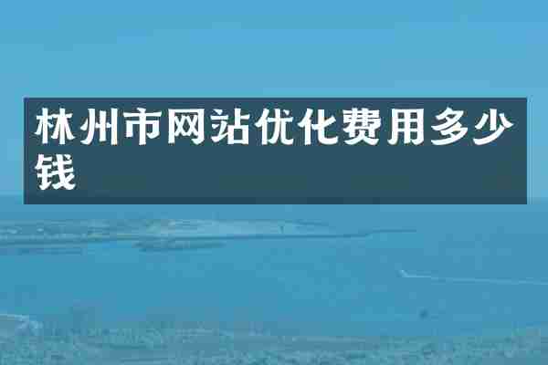 林州市网站优化费用多少钱
