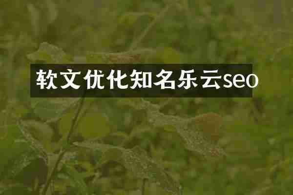 软文优化知名乐云seo
