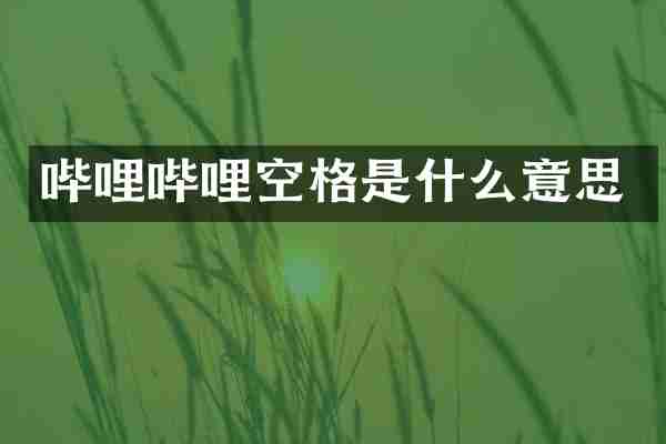哔哩哔哩空格是什么意思
