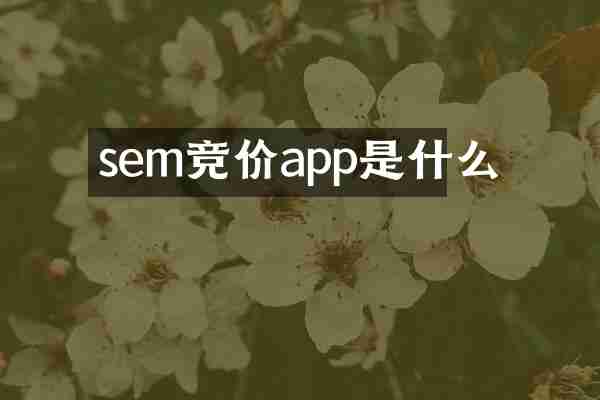 sem竞价app是什么