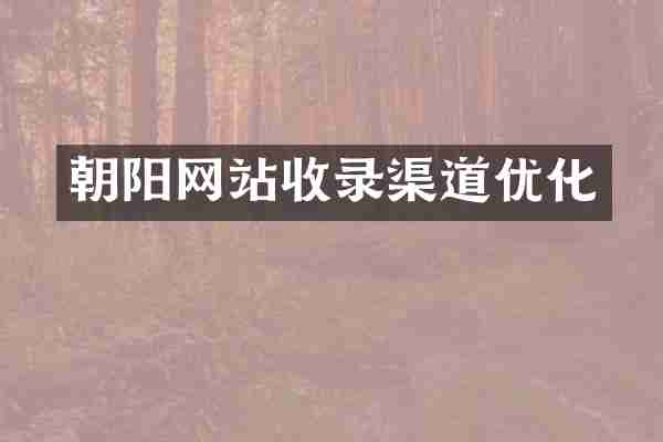 朝阳网站收录渠道优化
