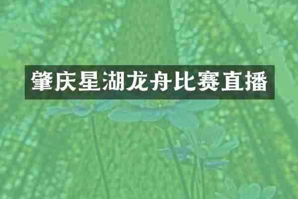 肇庆星湖龙舟比赛直播