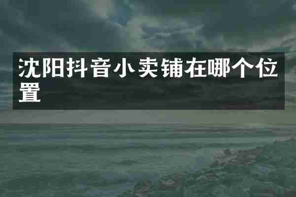 沈阳抖音小卖铺在哪个位置