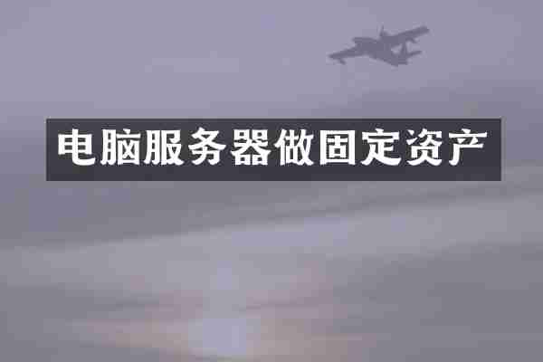 电脑服务器做固定资产