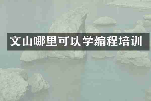 文山哪里可以学编程培训