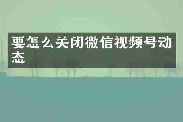 要怎么关闭微信视频号动态