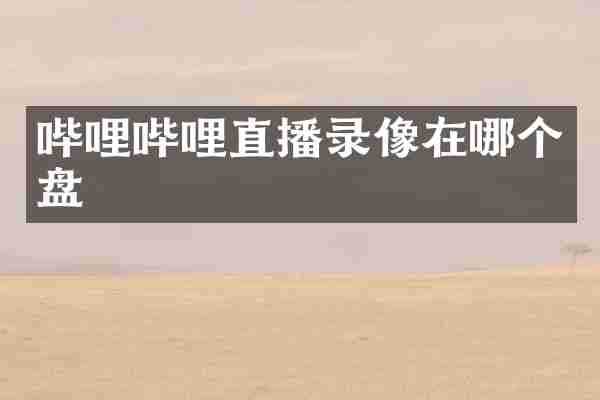 哔哩哔哩直播录像在哪个盘
