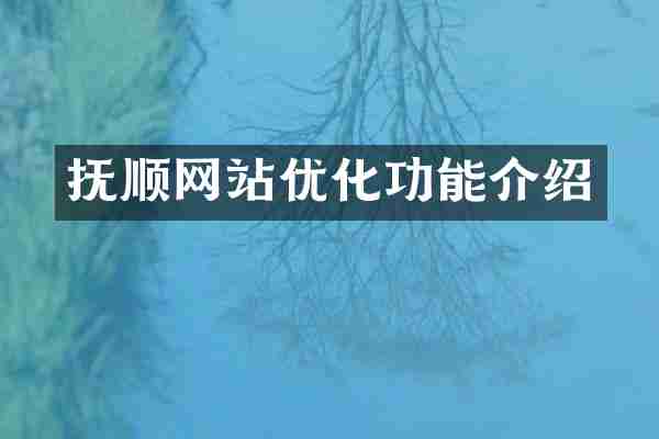 抚顺网站优化功能介绍