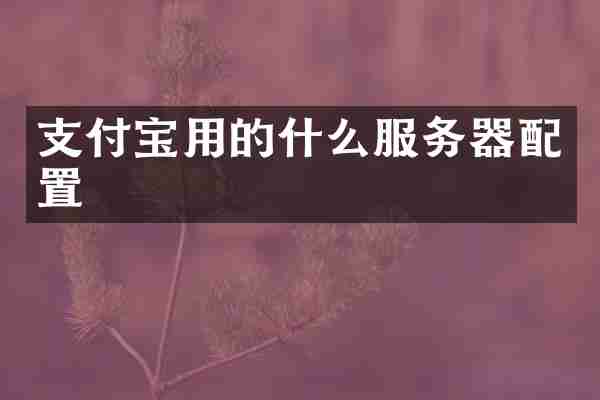 支付宝用的什么服务器配置