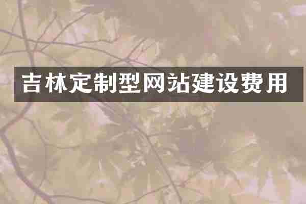 吉林定制型网站建设费用