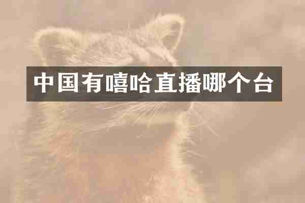 中国有嘻哈直播哪个台